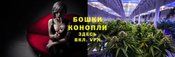 мяу мяу мука Вязьма