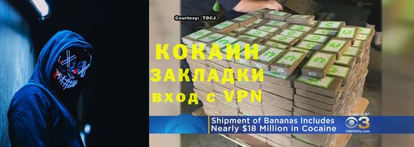 прущие грибы Елизово