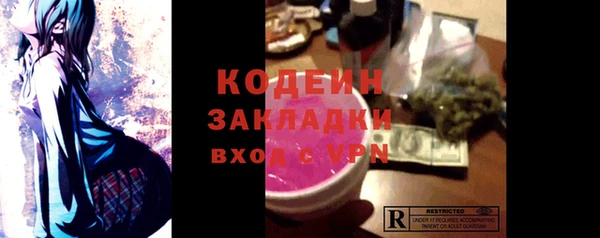 прущие грибы Елизово