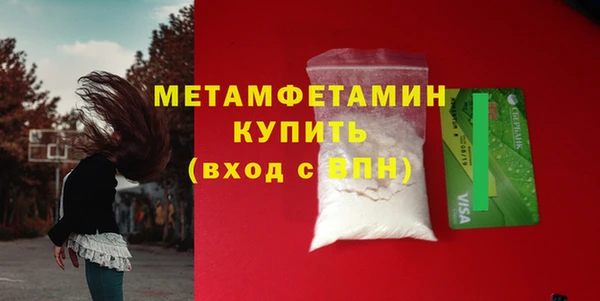 прущие грибы Елизово