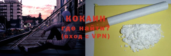PSILOCYBIN Дмитриев