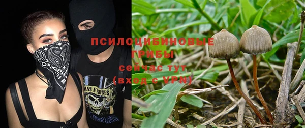 дживик Вяземский
