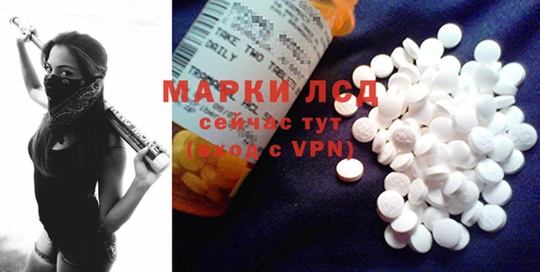 прущие грибы Елизово