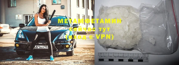 прущие грибы Елизово